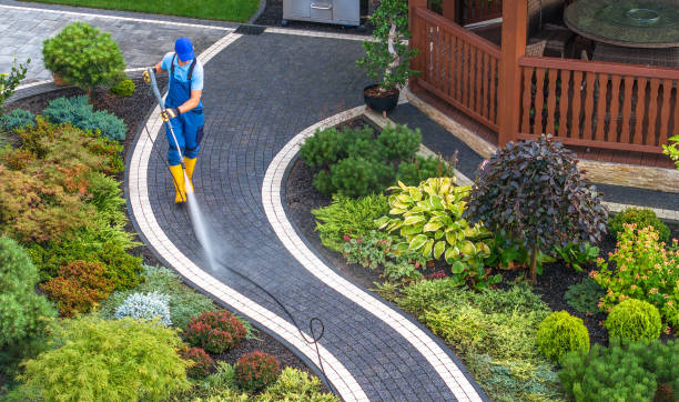 Best House Pressure Washing  in Coal Grove, OH